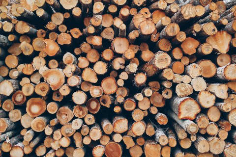Raw Wood